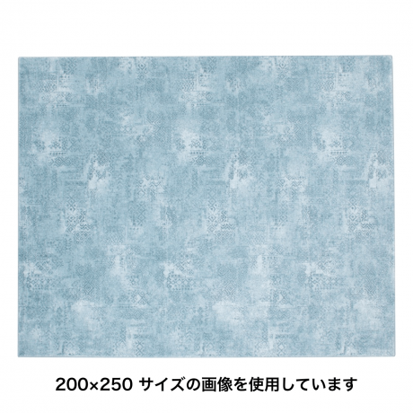 ニケ 200X200 VI/BL